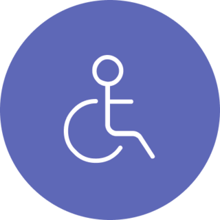 A stylized icon depicting a wheelchair bound person symbolizing disablities